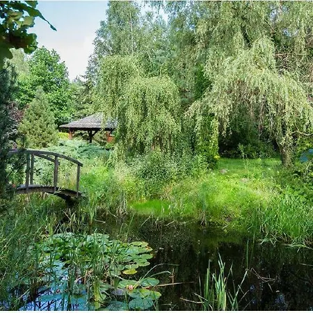 W Niebie * Kazun Bielany